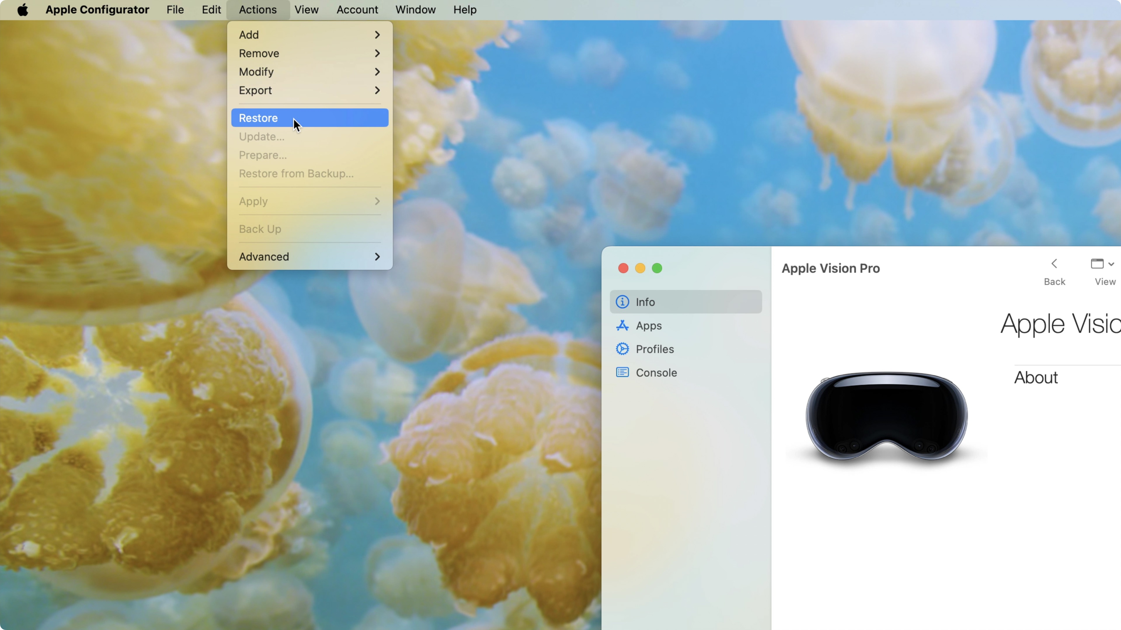 Restore option for visionOS using Apple Configurator with Apple Vision Pro.